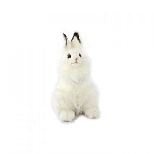 Rabbit, Bunny, White, 9"