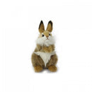 Rabbit, Bunny, Brown, 9" H
