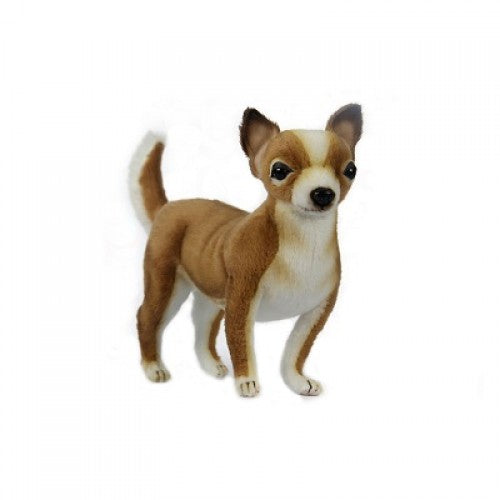 Chihuahua 9.5"L
