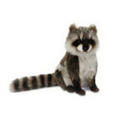 Raccoon Sitting 12" H