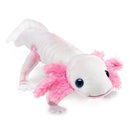 Axolotl, White
