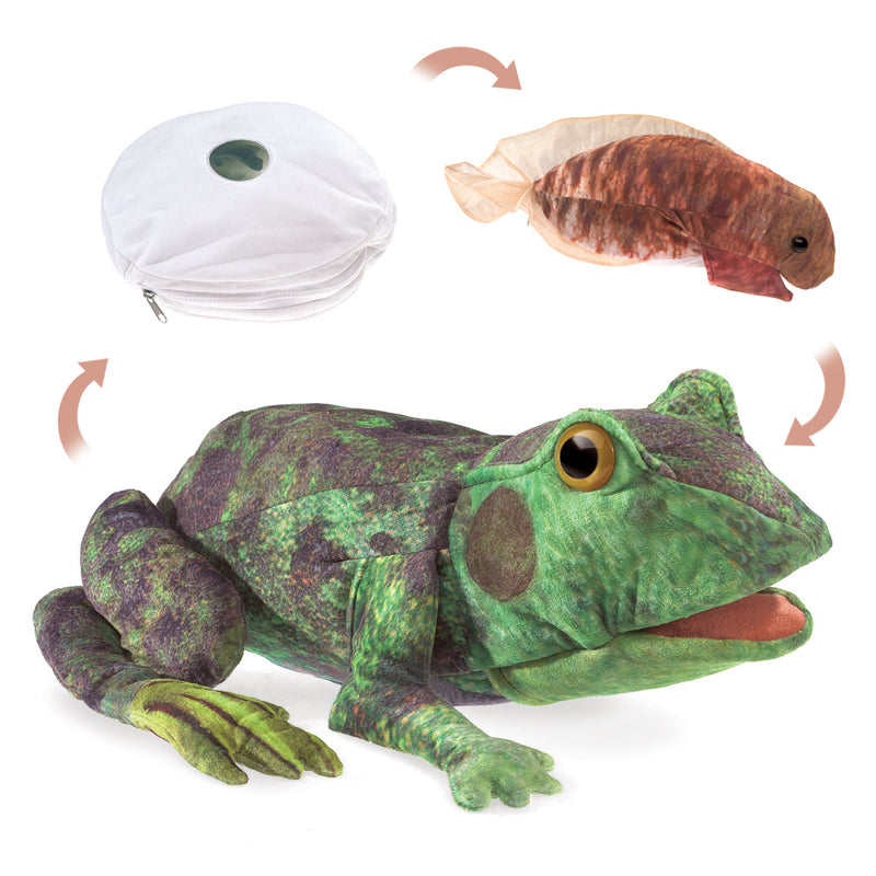 Frog Life Cycle Hand Puppet