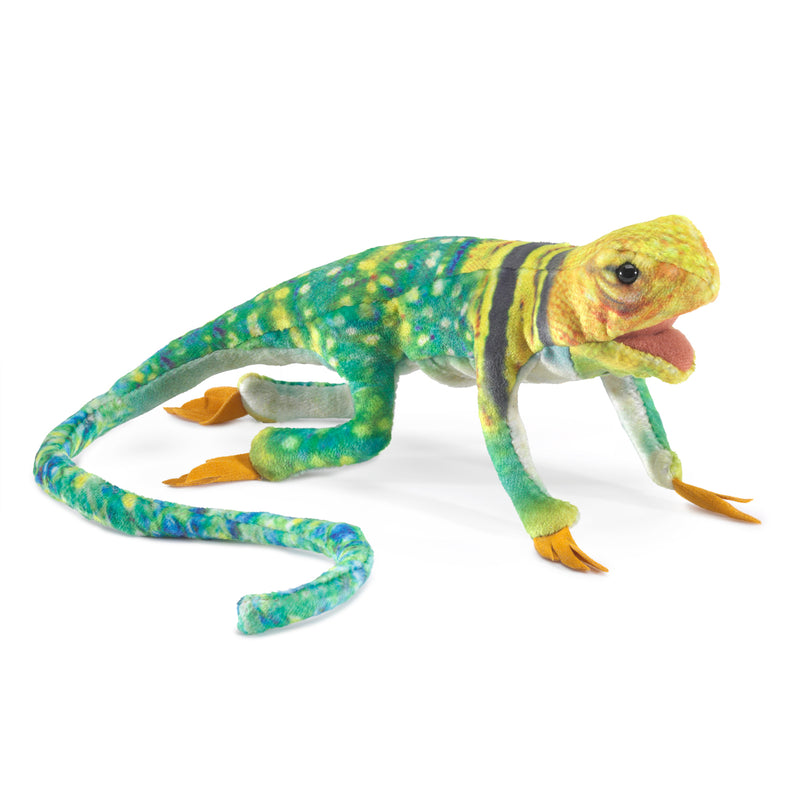 Mini Collared Lizard Finger Puppet, Ships Mid-July!  Pre-Order!