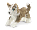 Wolf Pup Hand Puppet